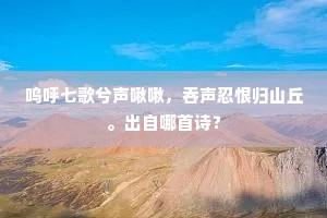 呜呼七歌兮声啾啾，吞声忍恨归山丘。出自哪首诗？