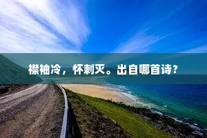 襟袖冷，怀刺灭。出自哪首诗？