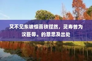 又不见东坡惊喜铁铿然，灵寿曾为汉臣辱。的意思及出处