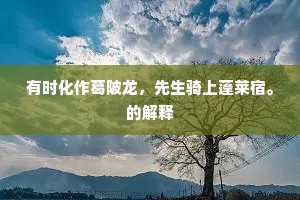有时化作葛陂龙，先生骑上蓬莱宿。的解释