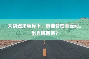 大别魂来秋月下，秦淮骨在暮云间。出自哪首诗？