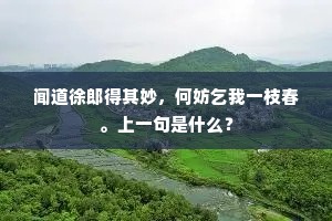 闻道徐郎得其妙，何妨乞我一枝春。上一句是什么？