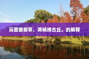 高甍垂新草，凋杨拂古丘。的解释