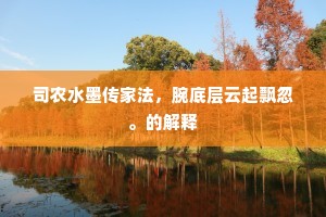 司农水墨传家法，腕底层云起飘忽。的解释