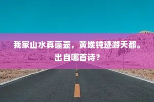 我家山水真蓬壶，黄埃钝迹游天都。出自哪首诗？