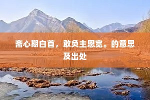 斋心期白首，敢负主恩宽。的意思及出处