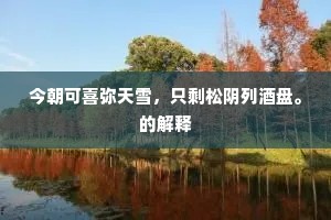 今朝可喜弥天雪，只剩松阴列酒盘。的解释