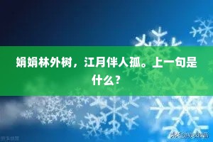 娟娟林外树，江月伴人孤。上一句是什么？