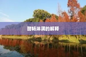 酣畅淋漓的解释