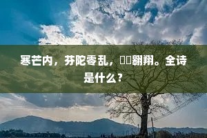 寒芒内，芬陀零乱，鸑鷟翱翔。全诗是什么？