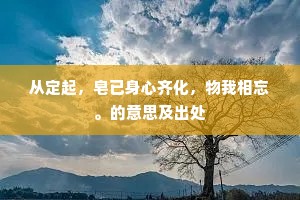 从定起，皂已身心齐化，物我相忘。的意思及出处