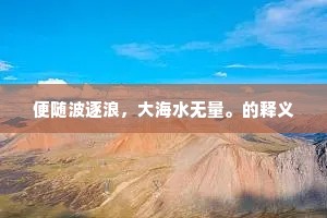 便随波逐浪，大海水无量。的释义