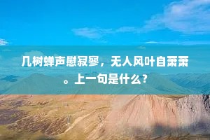 几树蝉声慰寂寥，无人风叶自萧萧。上一句是什么？