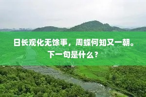 日长观化无馀事，周蝶何知又一朝。下一句是什么？
