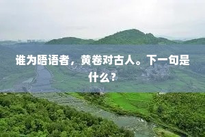 谁为晤语者，黄卷对古人。下一句是什么？