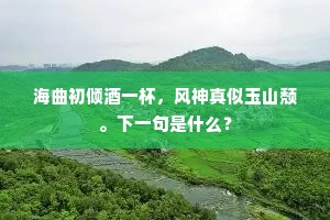 海曲初倾酒一杯，风神真似玉山颓。下一句是什么？