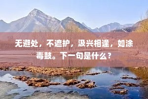 无避处，不遮护，汲兴相逢，如涂毒鼓。下一句是什么？