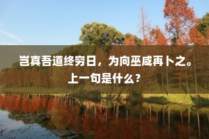 岂真吾道终穷日，为向巫咸再卜之。上一句是什么？