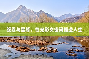 晚霞与星辉，在光影交错间悟透人生