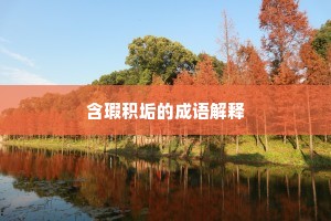 含瑕积垢的成语解释