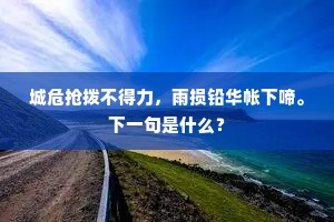 城危抢拨不得力，雨损铅华帐下啼。下一句是什么？