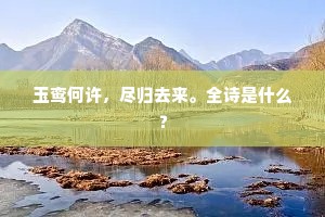 玉鸾何许，尽归去来。全诗是什么？