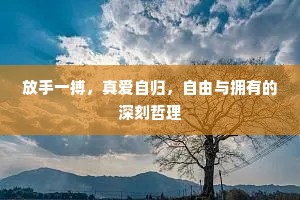 放手一搏，真爱自归，自由与拥有的深刻哲理