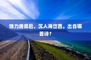 馀力唐虞后，沉人海岱西。出自哪首诗？