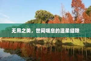 无用之美，世间喘息的温柔缝隙