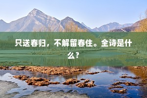 只送春归，不解留春住。全诗是什么？