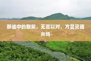 静谧中的默契，无言以对，方显灵魂共鸣