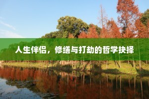 人生伴侣，修缮与打劫的哲学抉择