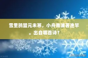 雪里鸥盟元未寒，小舟南浦著渔竿。出自哪首诗？