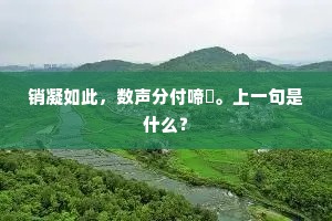 销凝如此，数声分付啼鴂。上一句是什么？