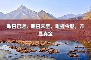 昨日已逝，明日未至，唯握今朝，方显真金