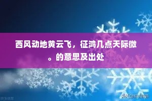 西风动地黄云飞，征鸿几点天际微。的意思及出处