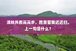 清秋共着高高步，胜景留我迟迟归。上一句是什么？