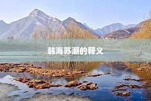 韩海苏潮的释义