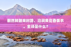 翻然转踏来时路，沿涧黄花香袭衣。全诗是什么？