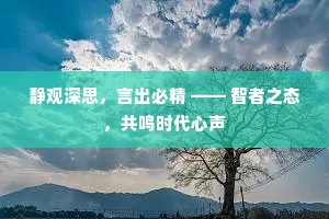 静观深思，言出必精 —— 智者之态，共鸣时代心声