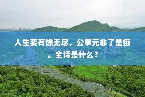 人生要有馀无尽，公事元非了是痴。全诗是什么？