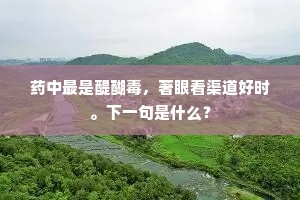 药中最是醍醐毒，著眼看渠道好时。下一句是什么？