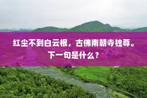 红尘不到白云根，古佛南朝寺独尊。下一句是什么？