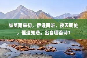 纵莫雨来初，伊谁同听，夜天明处，催迫知悲。出自哪首诗？