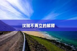 汉贼不两立的解释