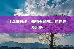 何以精名理，先师有道林。的意思及出处