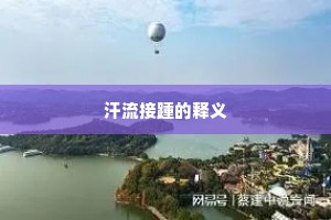 汗流接踵的释义