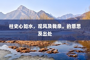 柱史心如水，观风及我泉。的意思及出处