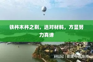 铁杵木杵之别，选对材料，方显努力真谛