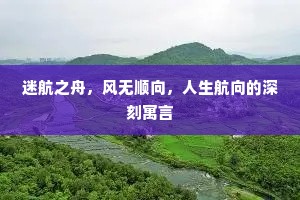迷航之舟，风无顺向，人生航向的深刻寓言